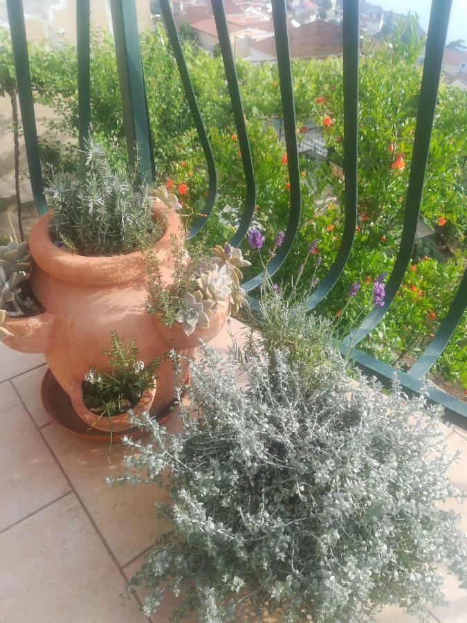 Apartman Betty Šibenik Exteriör bild